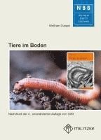 bokomslag Tiere im Boden