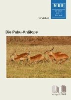 bokomslag Die Puku-Antilope