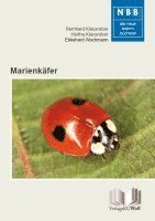 Marienkäfer 1