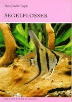 Die Segelflosser 1