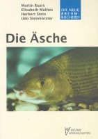 Die Äsche 1