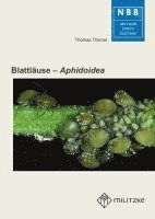 bokomslag Blattläuse - Aphidoidea