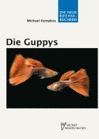 Michael Kempkes - Die Guppys, Inbunden
