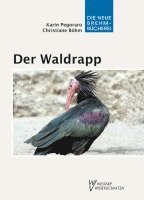 bokomslag Der Waldrapp