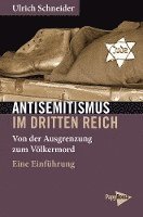 bokomslag Antisemitismus im Dritten Reich