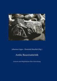 Johannes Lipps, Dominik Maschek - Antike Bauornamentik: Grenzen Und Möglichkeiten Ihrer Erforschung, Inbunden
