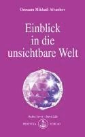 bokomslag Einblick in die unsichtbare Welt