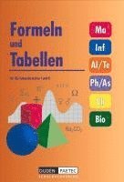 bokomslag Duden Formeln und Tabellen für die Sekundarstufen I und II