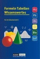 Uwe Bahro, Frank-Michael Becker, Lutz Engelmann, Christine Ernst, Günter Liesenberg, Manuela Liesenberg, Lothar Meyer - Formeln, Tabellen, Wissenswertes für die Sekundarstufe I. RSR, Inbunden