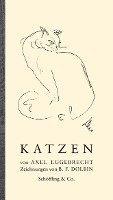 Katzen