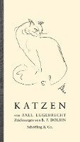 Katzen 1