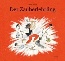 bokomslag Der Zauberlehrling