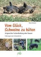 bokomslag Vom Glück, Schweine zu hüten