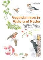 bokomslag Vogelstimmen in Wald und Hecke