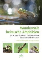bokomslag Wunderwelt heimische Amphibien