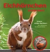 bokomslag Eichhörnchen entdecken!