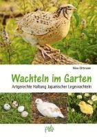 bokomslag Wachteln im Garten