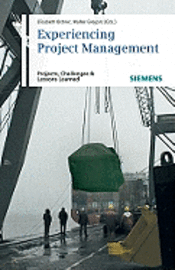 bokomslag Experiencing Project Management