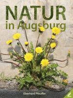 bokomslag Natur in Augsburg