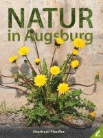 Natur in Augsburg 1