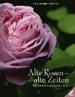 bokomslag Alte Rosen - alte Zeiten