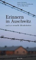 bokomslag Erinnern in Auschwitz