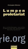 Christopher Wimmer - Lumpenproletariat, Häftad