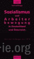 bokomslag Sozialismus und Arbeiterbewegung in Deutschland und Österreich