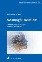 bokomslag Meaningful Relations: The Enactivist Making of Experiential Worlds