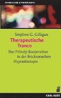 bokomslag Therapeutische Trance