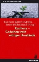 Rosmarie Welter-Enderlin, Bruno Hildenbrand - Resilienz - Gedeihen trotz widriger Umstände, Häftad