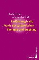 bokomslag Einführung in die Praxis der systemischen Therapie und Beratung