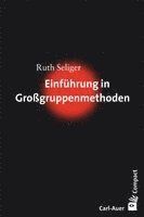 Ruth Seliger - Einführung in Großgruppenmethoden, Häftad