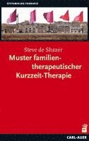 bokomslag Muster familientherapeutischer Kurzzeit-Therapie