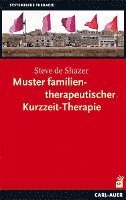 Muster familientherapeutischer Kurzzeit-Therapie 1