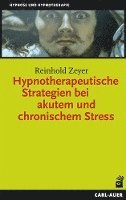 Reinhold Zeyer - Hypnotherapeutische Strategien bei akutem und chronischem Stress, Häftad