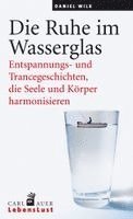 Daniel Wilk - Die Ruhe im Wasserglas, Häftad
