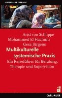 bokomslag Multikulturelle systemische Praxis