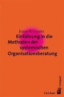 bokomslag Einführung in die Methoden der systemischen Organisationsberatung