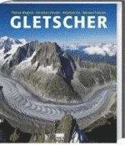bokomslag Gletscher