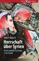 bokomslag Herrschaft über Syrien