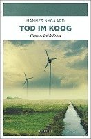 bokomslag Tod im Koog