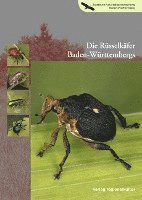 bokomslag Die Rüsselkäfer Baden-Württembergs