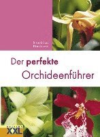bokomslag Der perfekte Orchideenführer