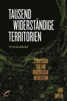 bokomslag Tausend widerständige Territorien