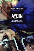 Aydin 1