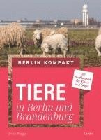 bokomslag Tiere in Berlin und Brandenburg