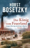 bokomslag Der König vom Feuerland