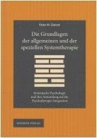 bokomslag Die Grundlagen der allgemeinen und der speziellen Systemtherapie