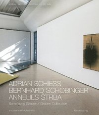 bokomslag Adrian Schiess - Bernhard Schobinger - Annelies Strba